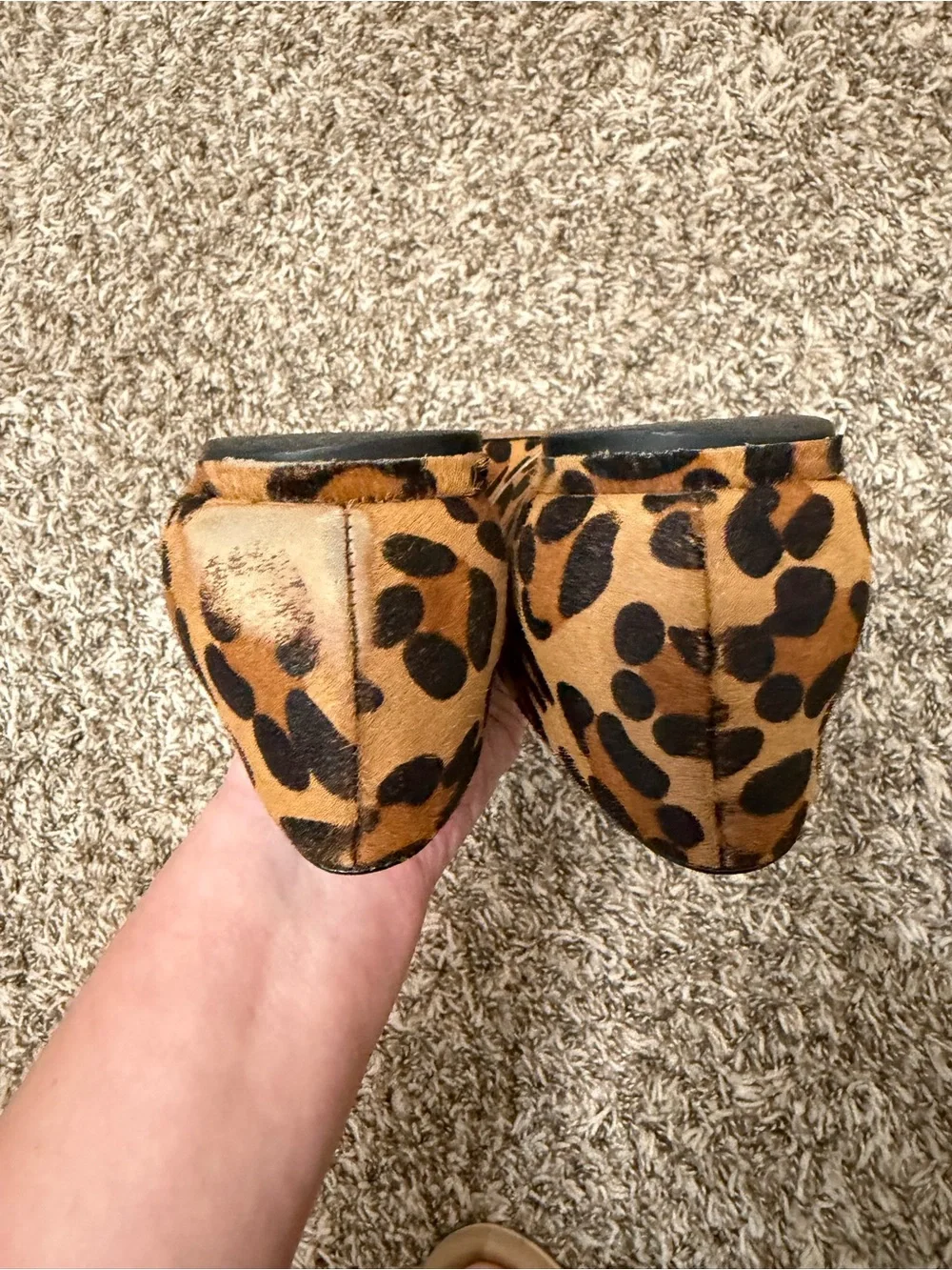 Sole Society Leopard Print Flats with Crystal Buckle - Tan/Black